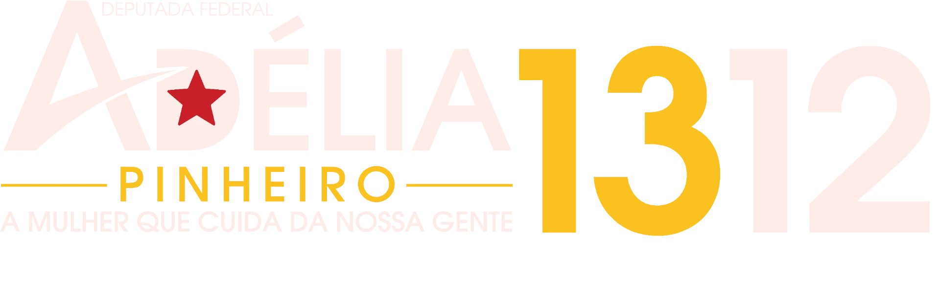 Adélia Pinheiro 1312 - Deputada Federal - A mulher que cuida da nossa gente